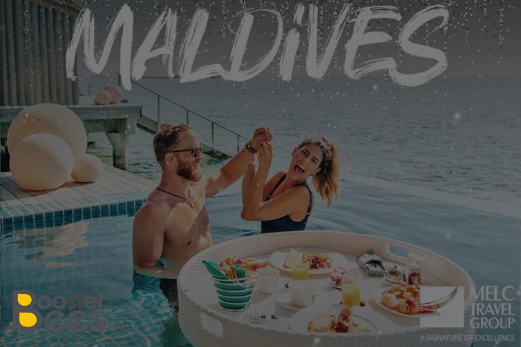 MELC Website and Social Media